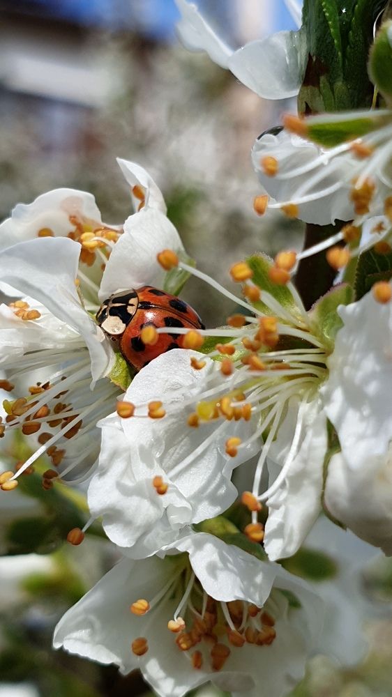 Photograph by Viktorova