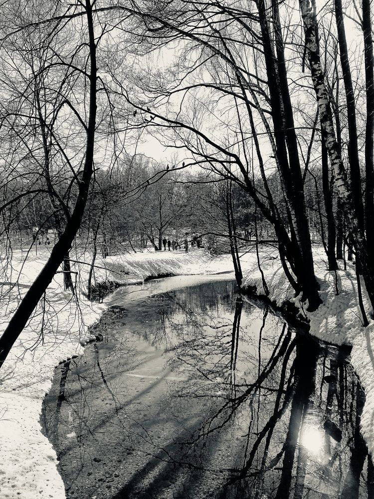 Фотография автора Евгений Карпов