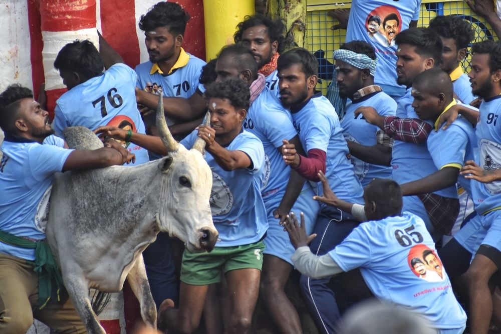 Photograph by Gopinath JM