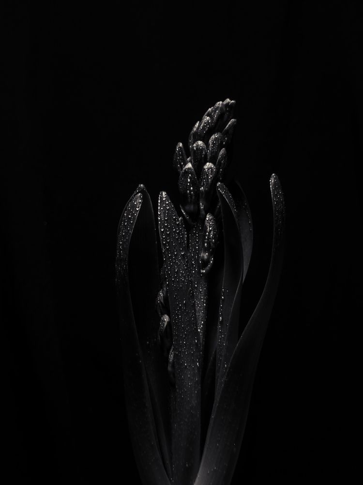 Photograph by Алиса Нежинская