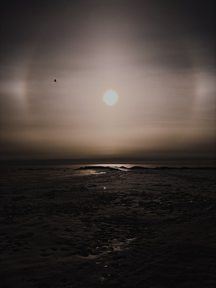 Photograph by Алиса Нежинская