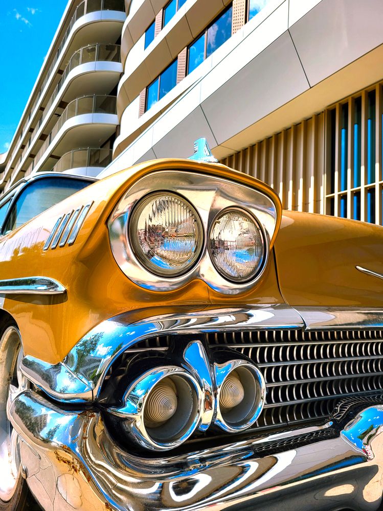 Photograph by Mariana Parvanova-Brett