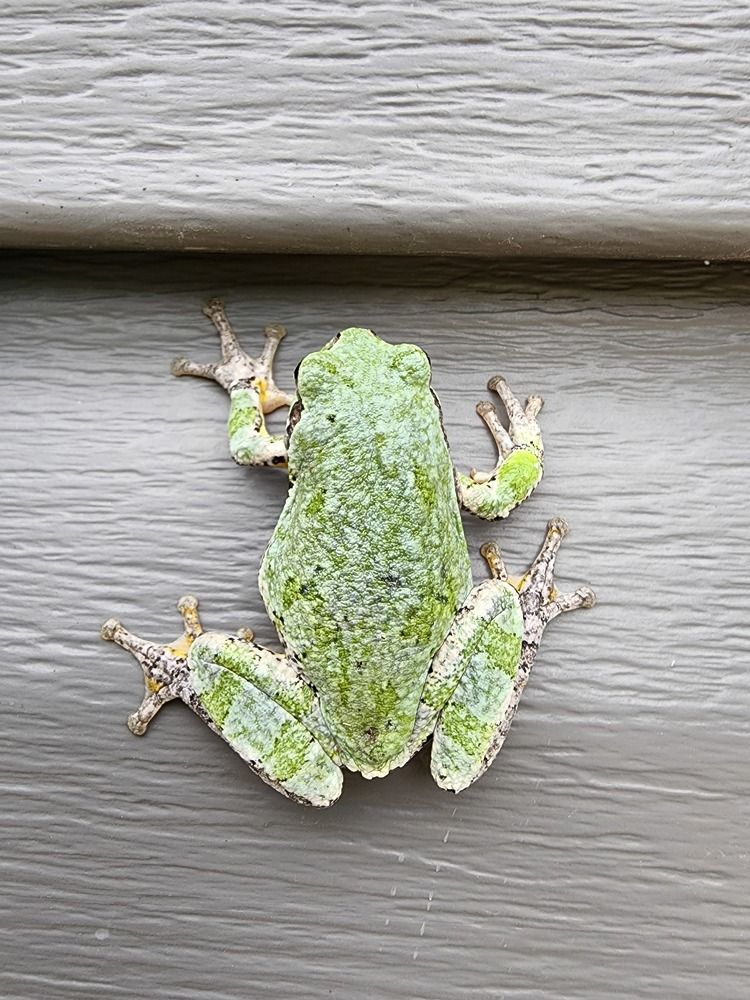 Фотография автора Al