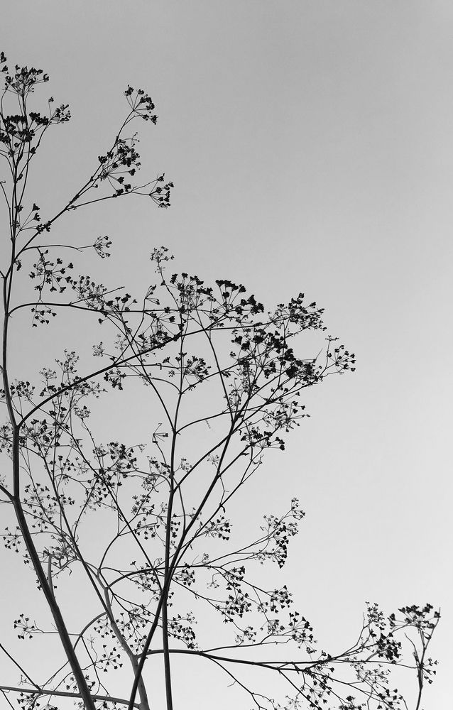 Photograph by Мадина Криштопа