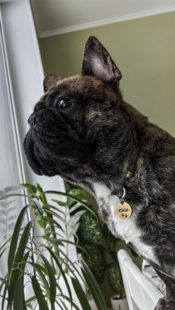 Photograph by Светлана Зыкова