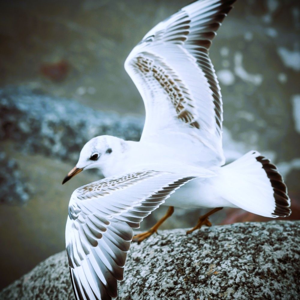 Photograph by Agita Leimane