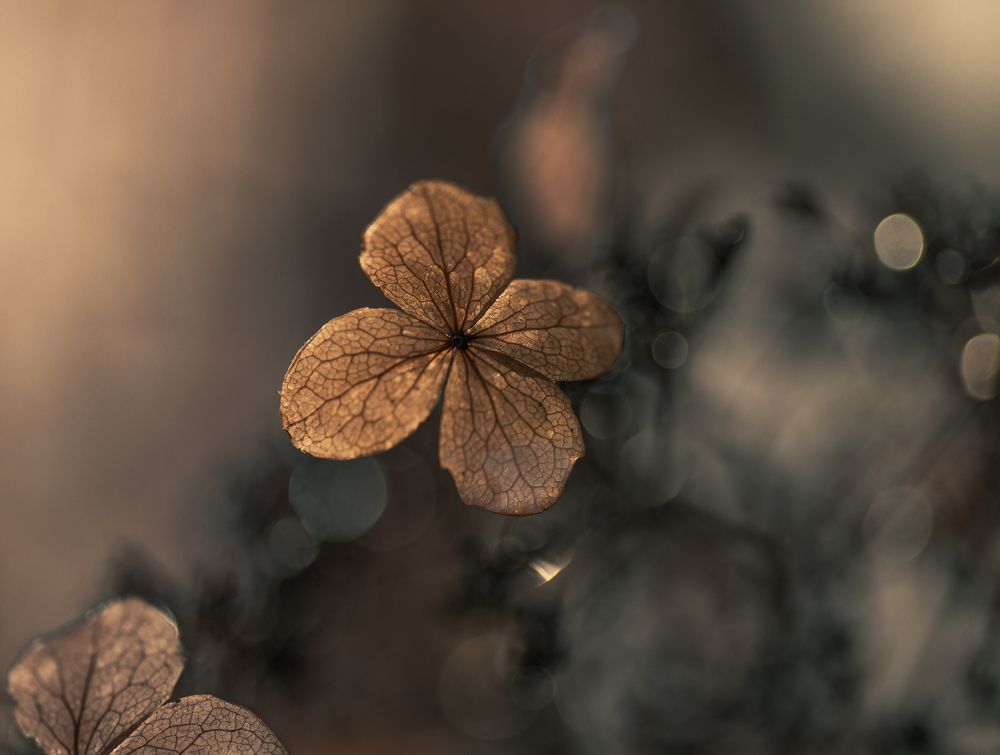 Photograph by Sidsel Tonnessen