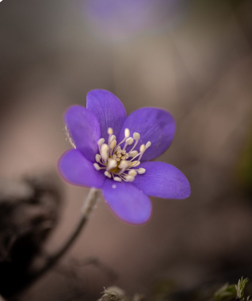 Photograph by Sidsel Tonnessen