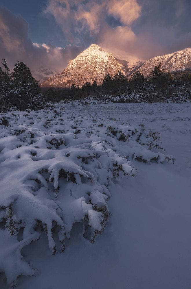 Photograph by Mario Marini