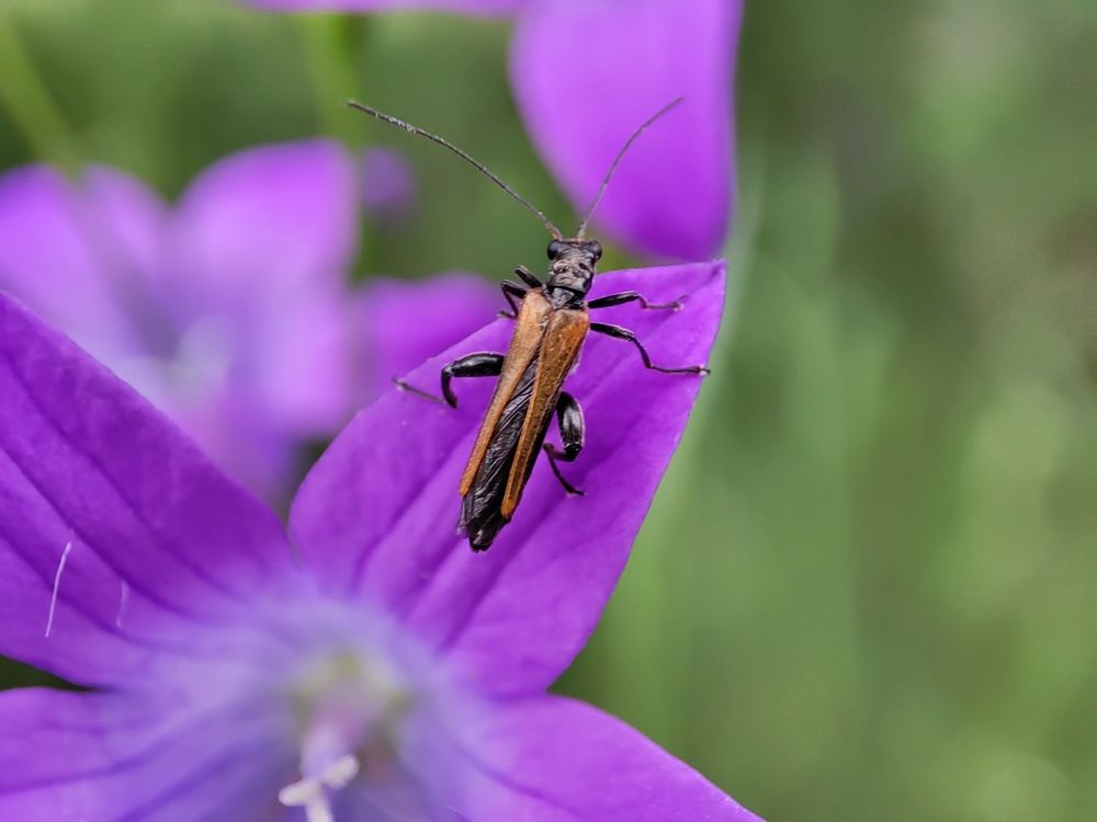 Фотография автора Irina Linina