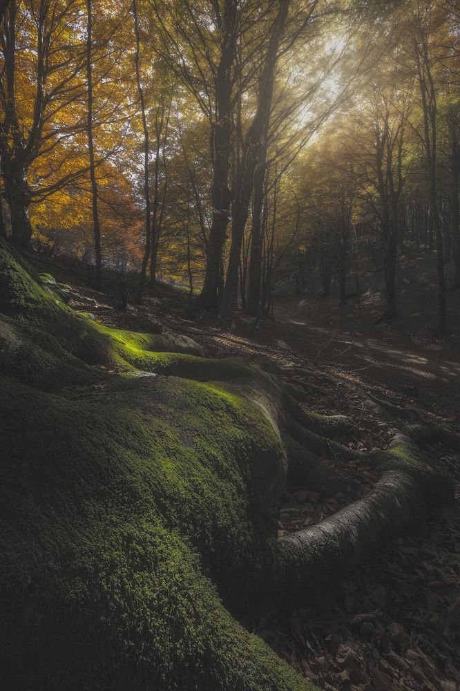 Photograph by Mario Marini