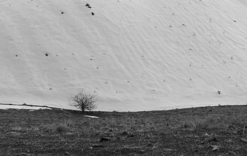 Photograph by ZANYAR RASOOL Awla