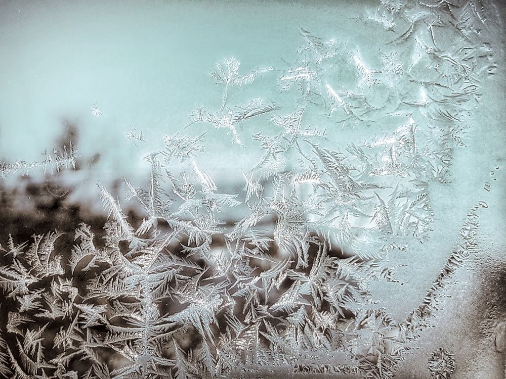 Photograph by Марина Мальцева