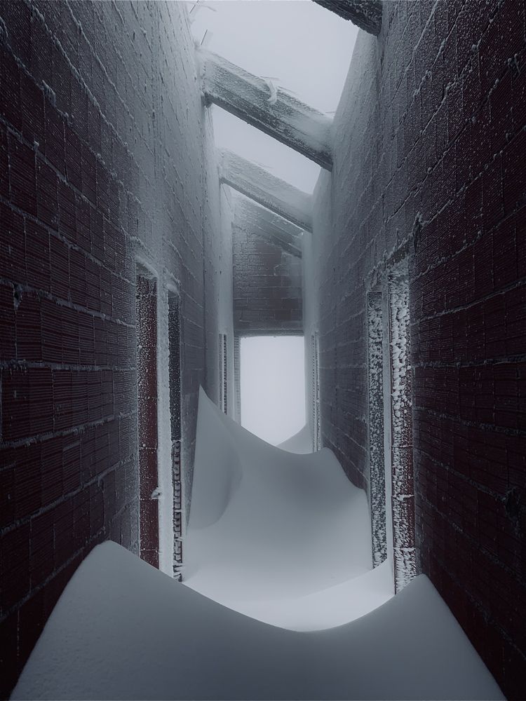 Photograph by Ramy Bouzidi