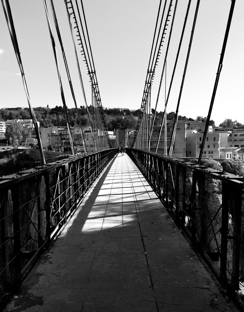 Photograph by MEMMOU Azza