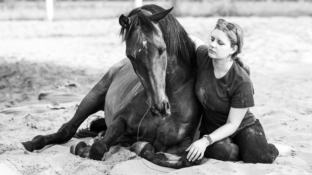 Фотография автора Елена Гордиевская