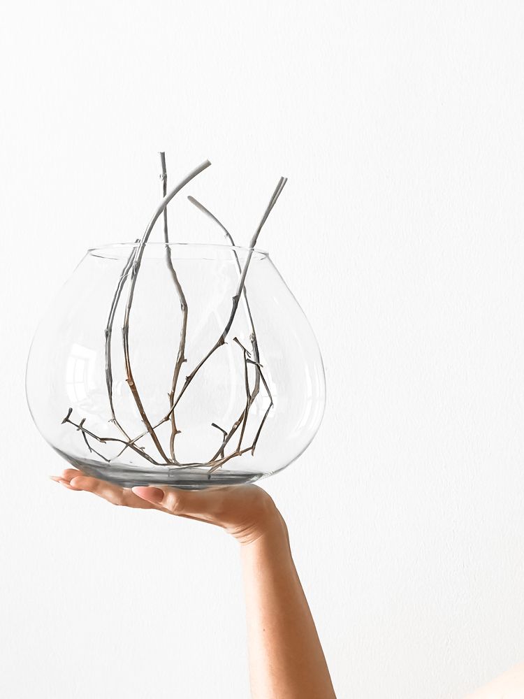 Photograph by Irina Kolotova