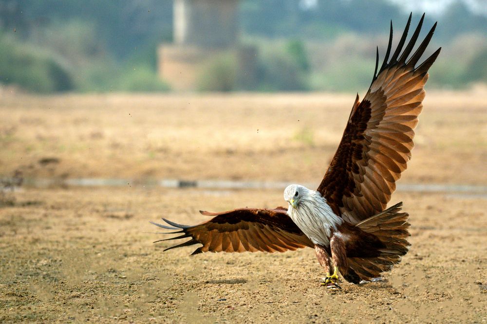 Photograph by Sharad Mansharamani