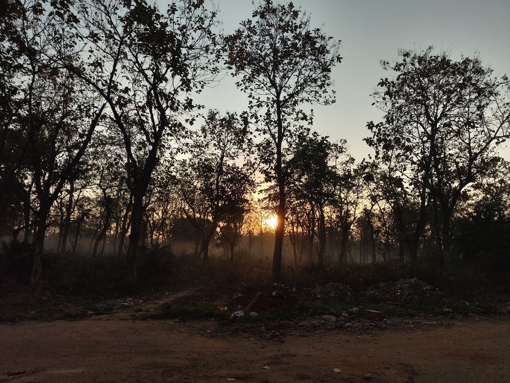 Photograph by Rupanjan Dasgupta