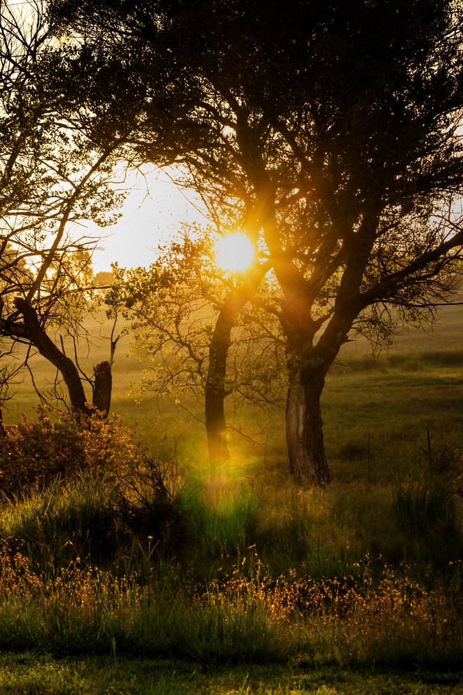 Photograph by Michelle Hart