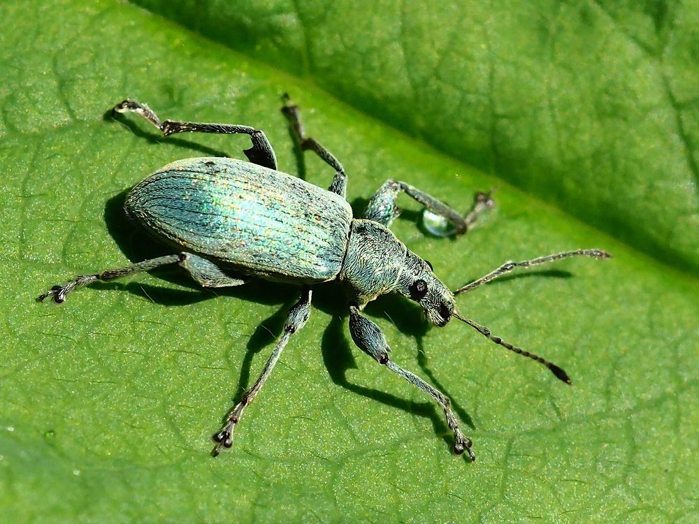 Photograph by Елена Харитонова