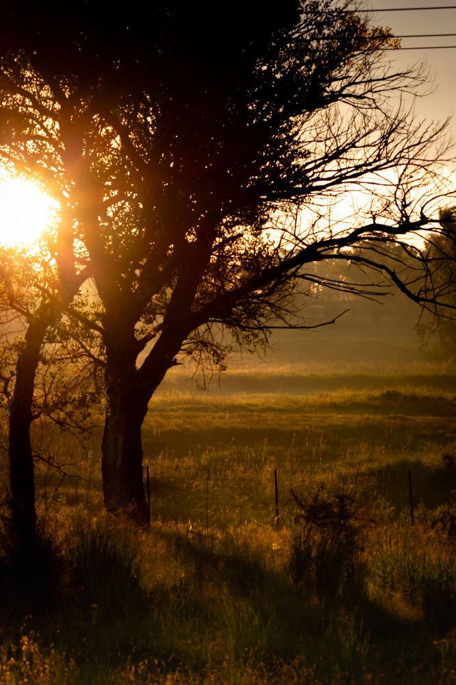 Photograph by Michelle Hart