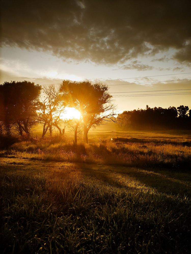 Photograph by Michelle Hart