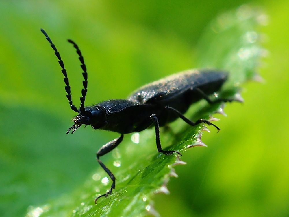 Photograph by Елена Харитонова