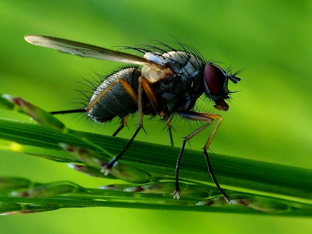 Photograph by Елена Харитонова