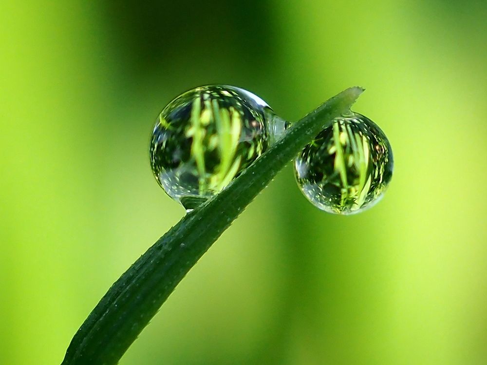 Photograph by Елена Харитонова