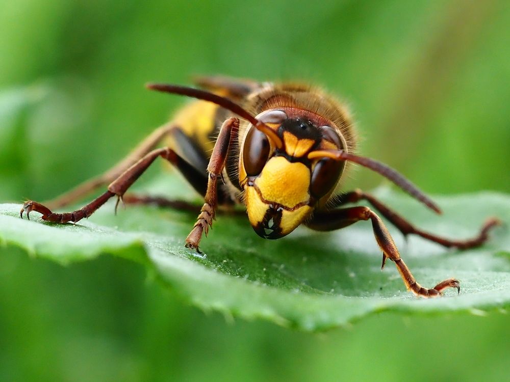 Photograph by Елена Харитонова