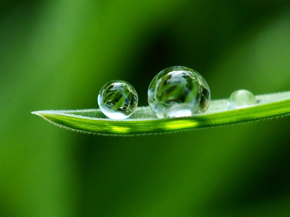 Photograph by Елена Харитонова