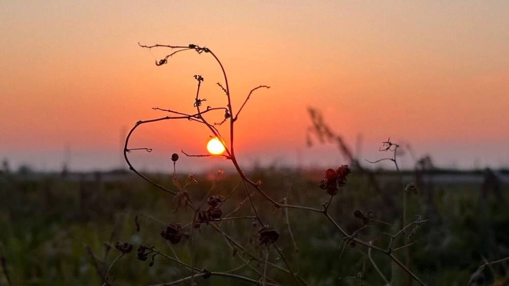 Photograph by Ekaterina Vlasova