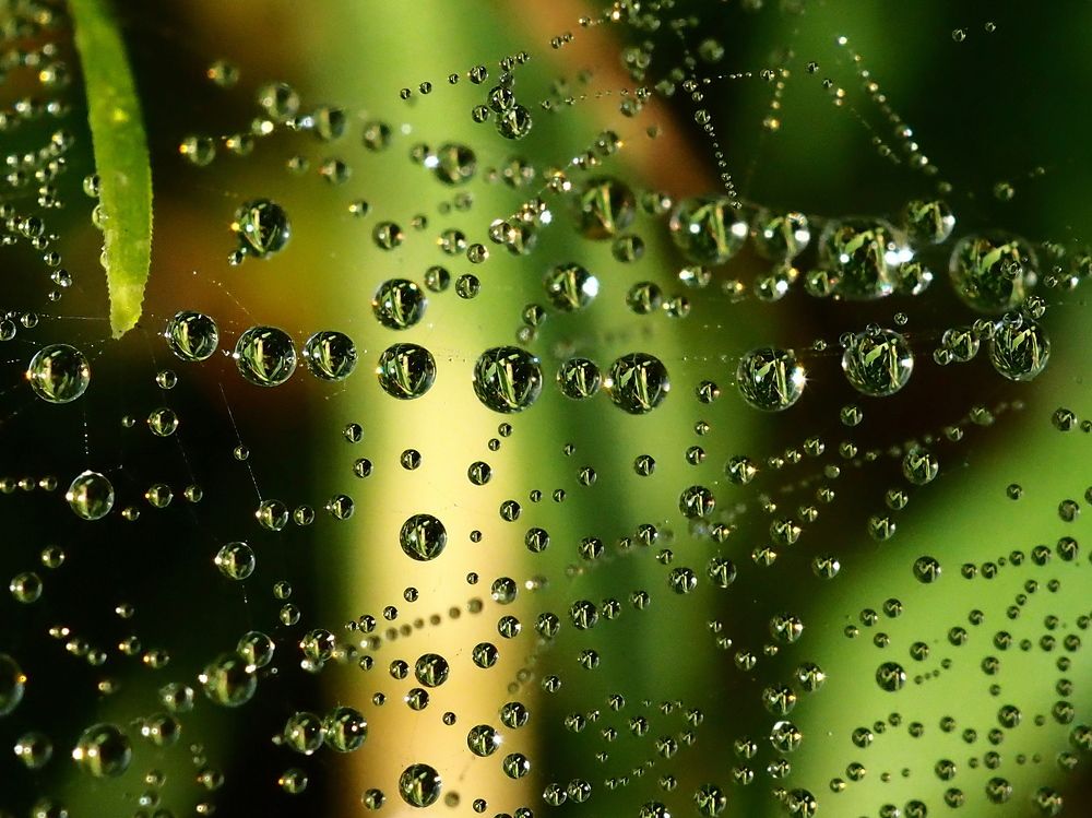 Photograph by Елена Харитонова