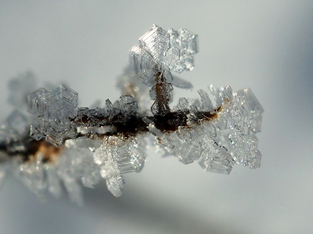 Photograph by Елена Харитонова