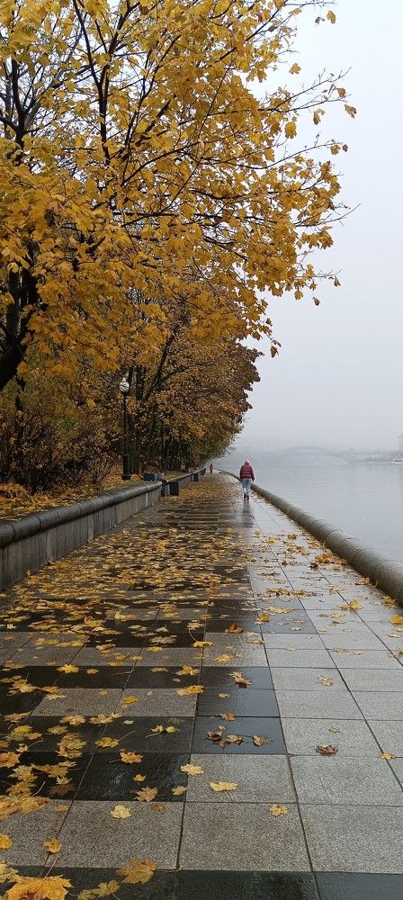Photograph by Наталья