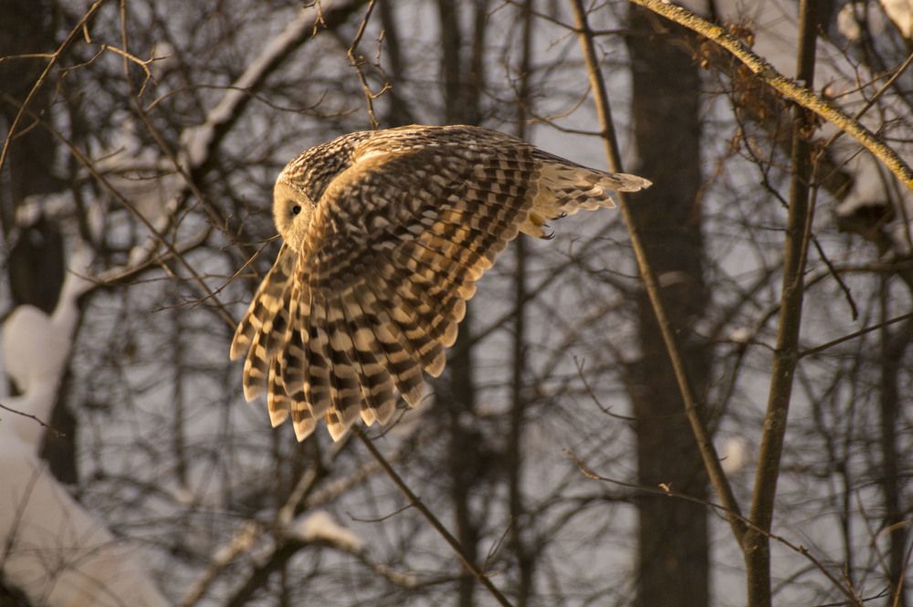 Photograph by Аlessandro