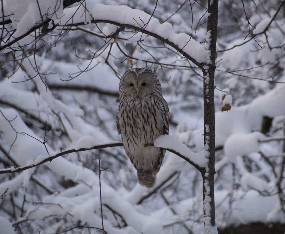 Photograph by Аlessandro