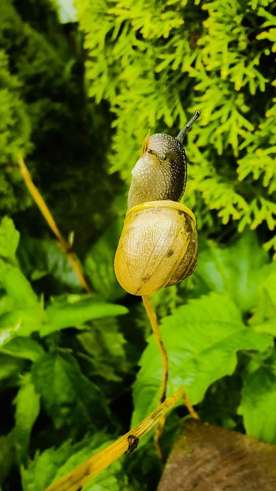 Photograph by Żółtowska Karolina