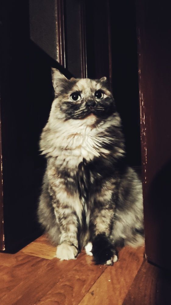 Что это вы тут делаете?