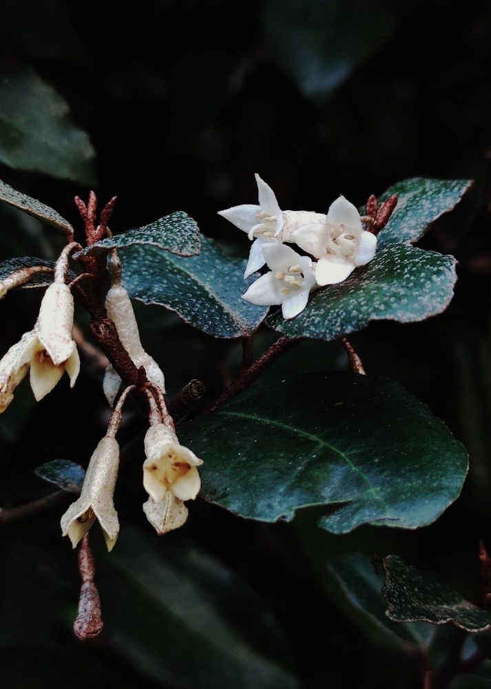 Photograph by Светлана Холодова