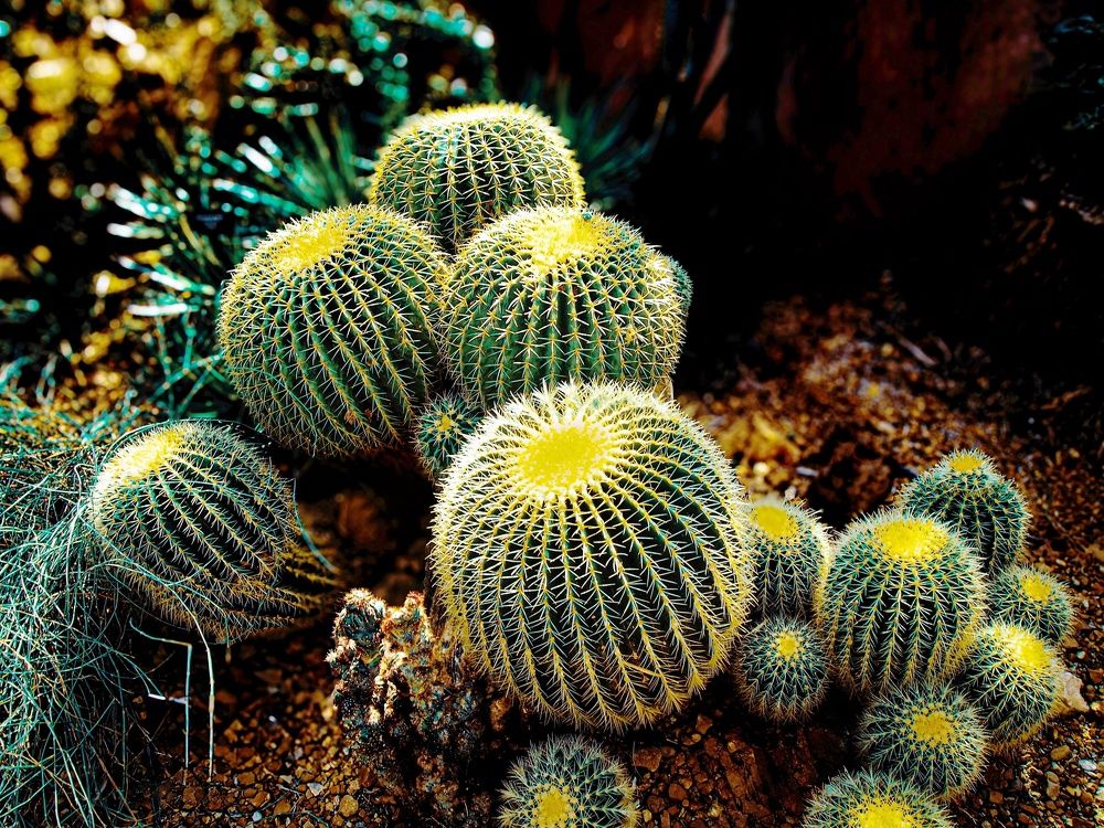 Photograph by Bulat Bayzuldin