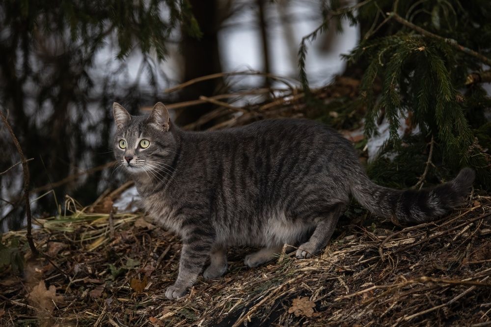Photograph by Сергей Хабаров