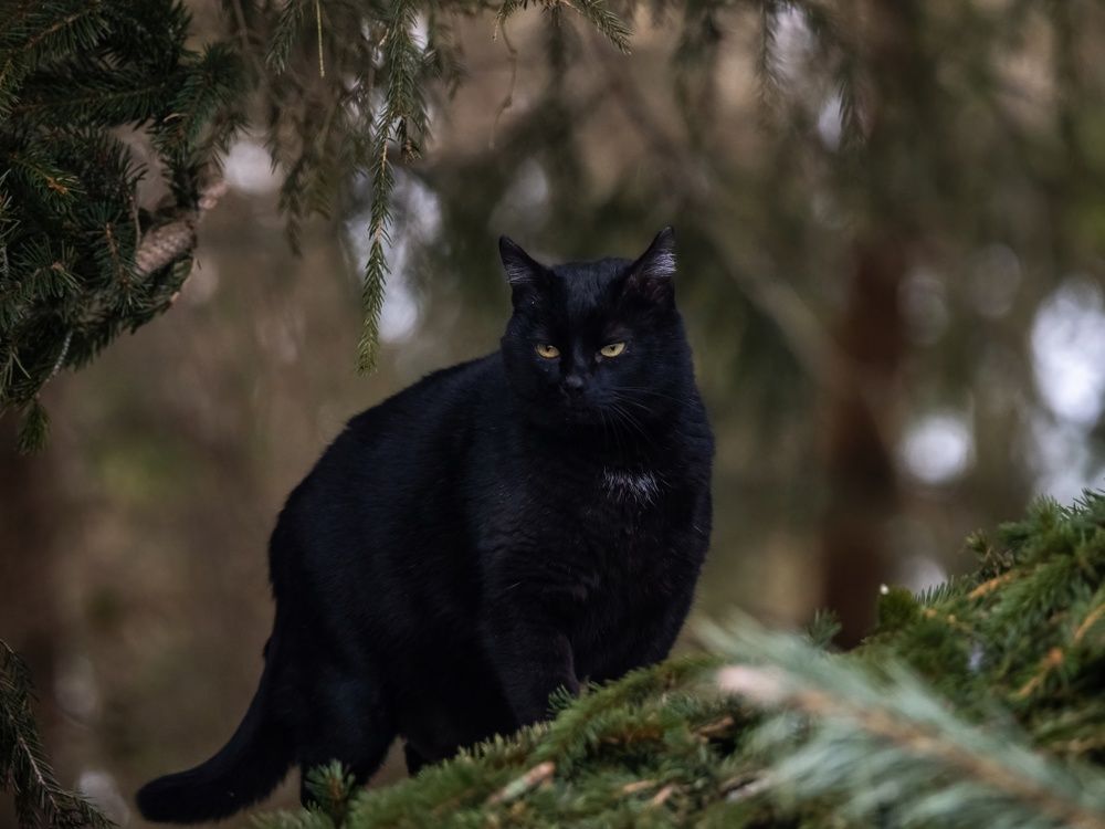 Photograph by Сергей Хабаров