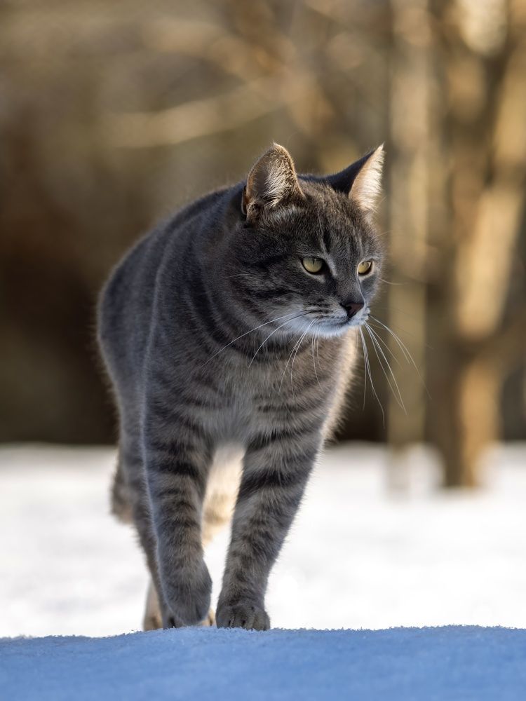 Photograph by Сергей Хабаров