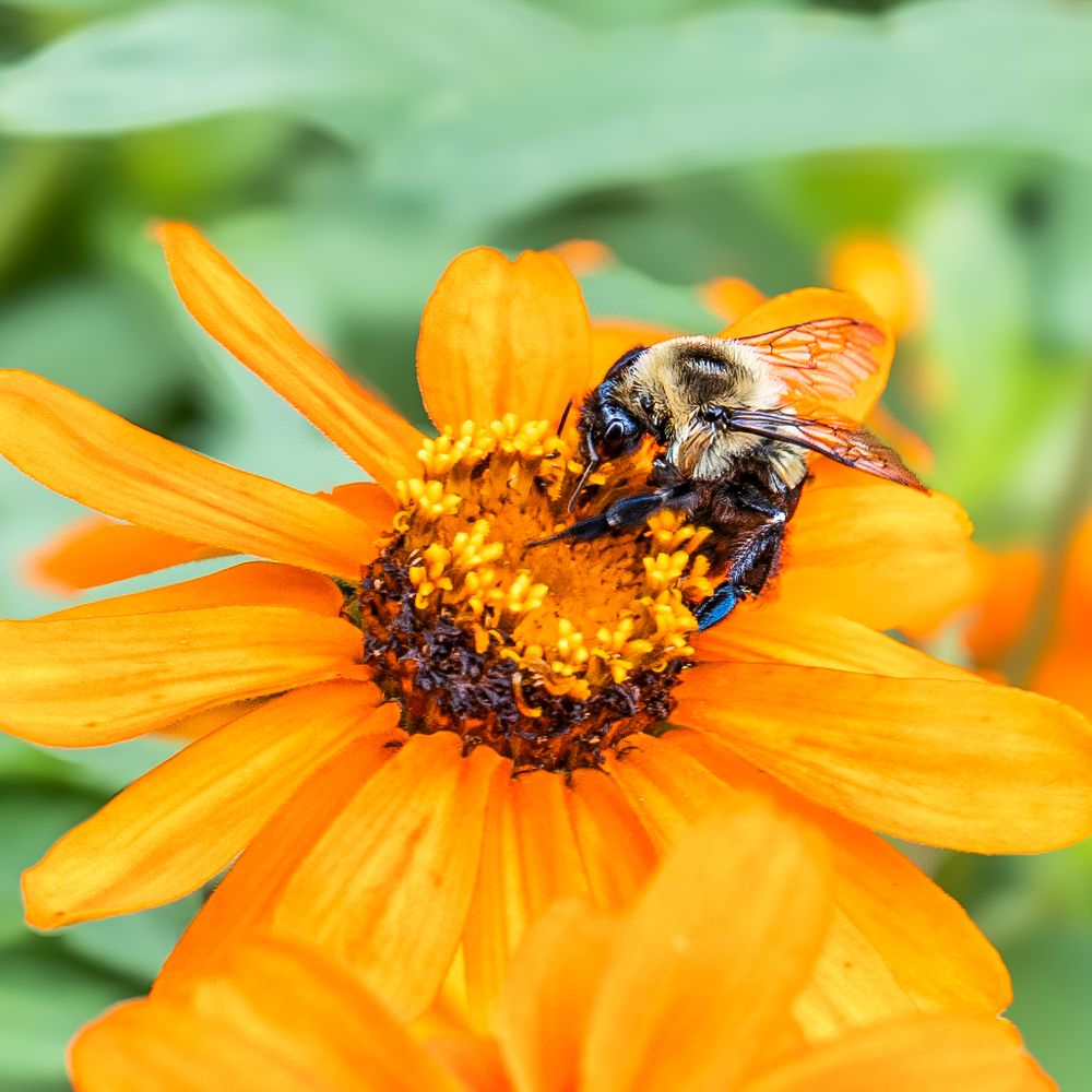 Photograph by Bulat Bayzuldin