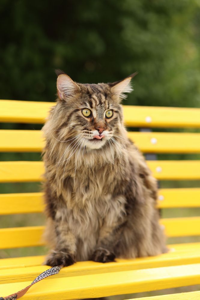 Photograph by Елена Анучина