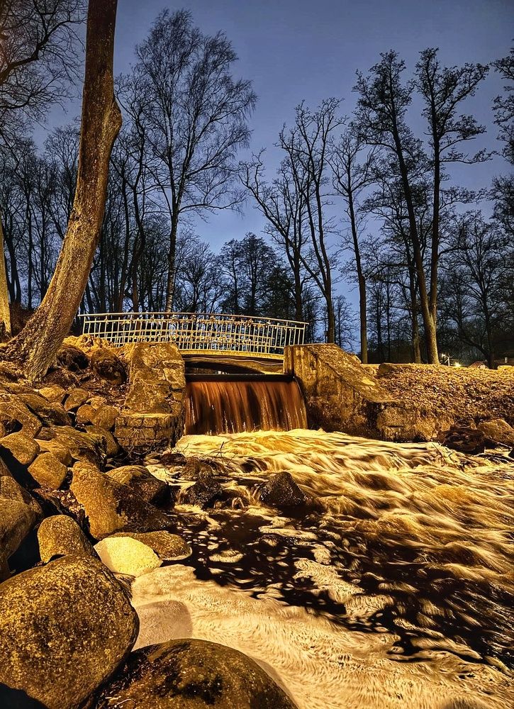 Ночь в парке.