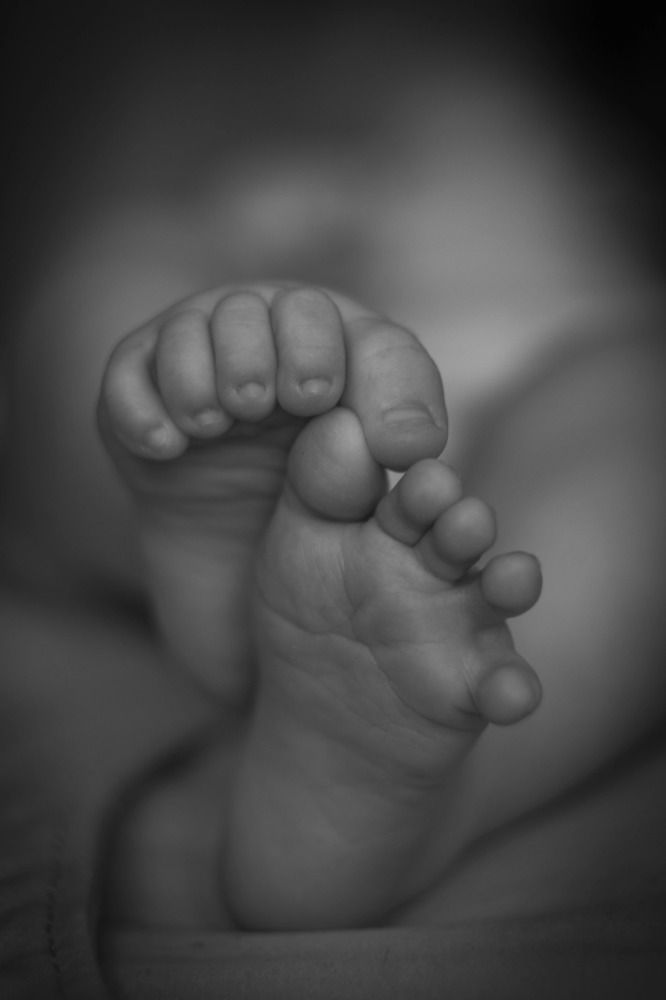 Photograph by Шевелева Анастасия