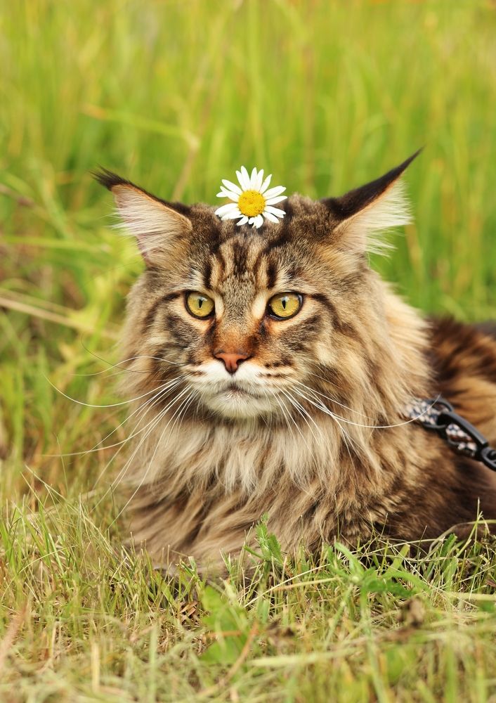 Photograph by Елена Анучина